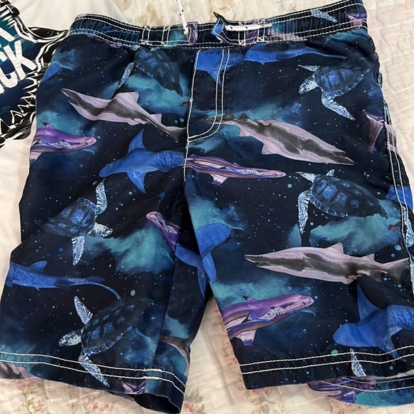 Swim trunks and rash guard - Picture 2 of 5